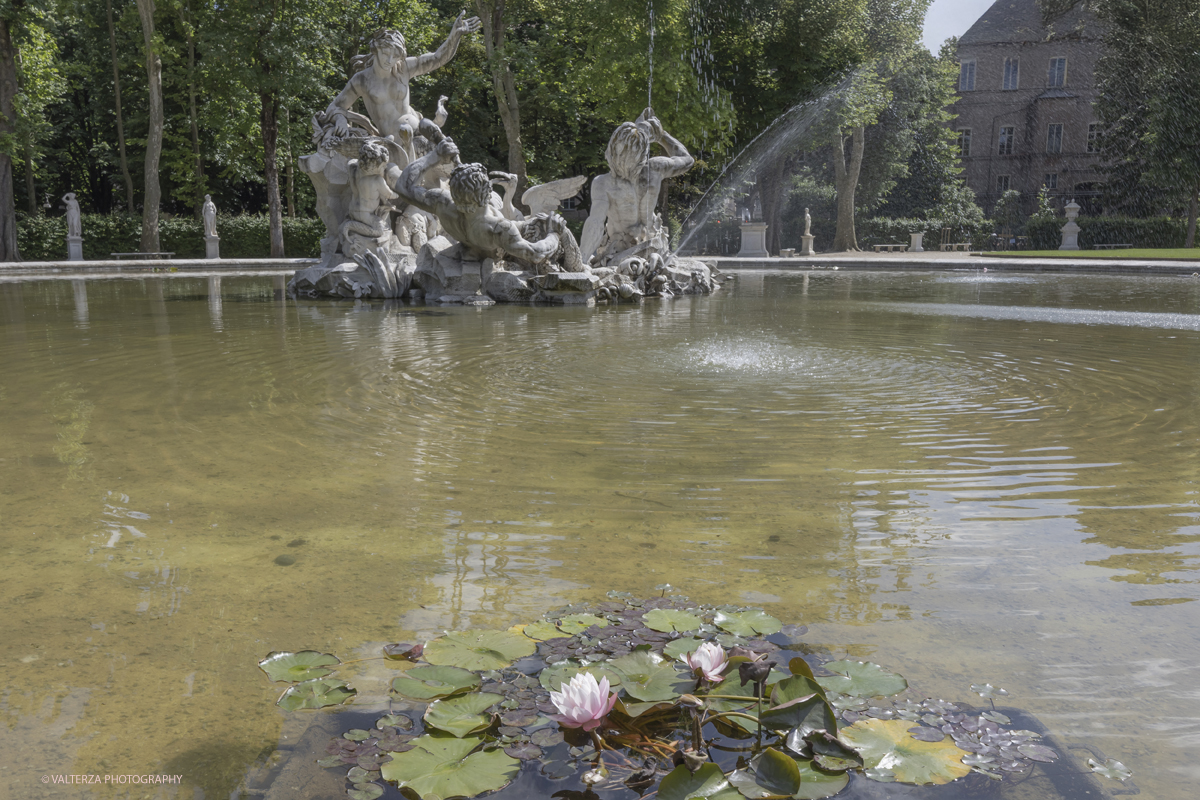 _G5A8355.jpg - 24/05/2025. Torino.  FLOR Primavera 2025 ai Giardini realia. Nella foto varietÃ  di antiche ninfee, ibridate dal celebre vivaio francese Latour-Marliac tra fine Ottocento e inizio Novecento, che Claude Monet acquistÃ² per i giardini di Giverny e riprodusse nei suoi celeberrimi dipinti.