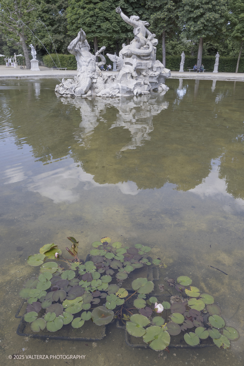 _G5A8378.jpg - 24/05/2025. Torino.  FLOR Primavera 2025 ai Giardini realia. Nella foto varietÃ  di antiche ninfee, ibridate dal celebre vivaio francese Latour-Marliac tra fine Ottocento e inizio Novecento, che Claude Monet acquistÃ² per i giardini di Giverny e riprodusse nei suoi celeberrimi dipinti.