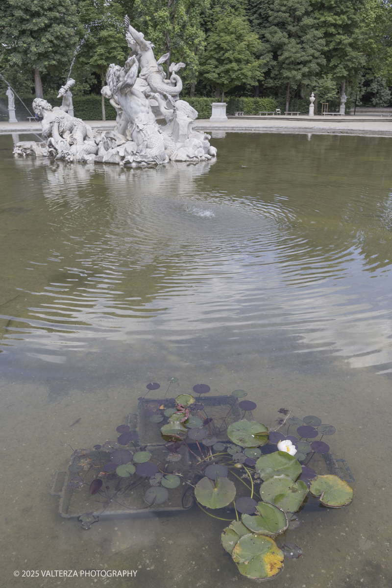 _G5A8387.jpg - 24/05/2025. Torino.  FLOR Primavera 2025 ai Giardini realia. Nella foto varietÃ  di antiche ninfee, ibridate dal celebre vivaio francese Latour-Marliac tra fine Ottocento e inizio Novecento, che Claude Monet acquistÃ² per i giardini di Giverny e riprodusse nei suoi celeberrimi dipinti.