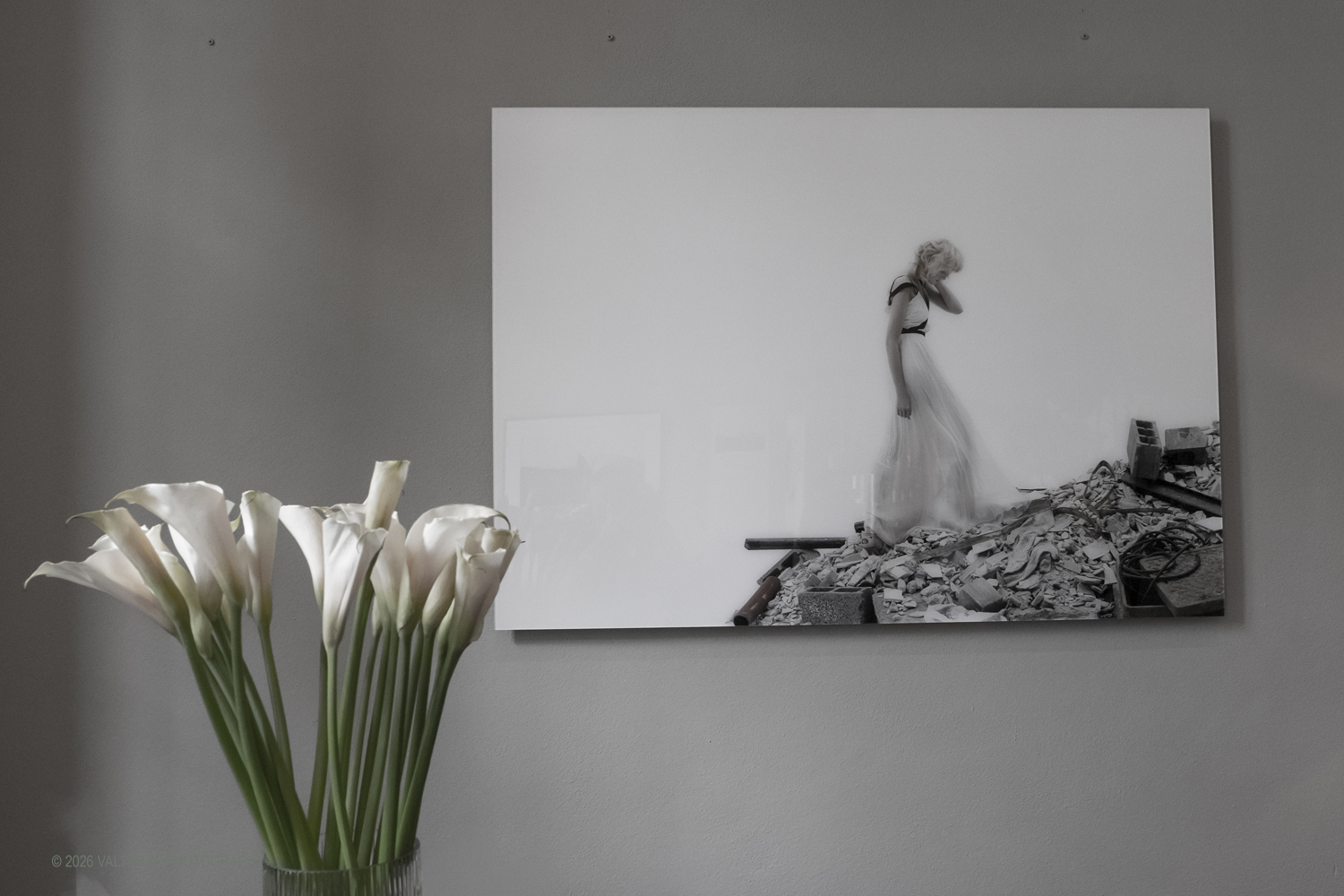 _DSF0516.jpg - 08/05/2026. Torino. Mostra ed incontro con il fotografo Toni Thorimbert, una  ottima opportunitÃ  per entrare nel mondo dellâ€™artista italosvizzero e scoprire come la sua fotografia si sia evoluta tra sperimentazione, introspezione e una sorprendente originalitÃ . Nella foto le immagini esposte nelle sale dellâ€™NH Collection Piazza Carlina con una selezione di immagini dedicata a Real Show (2006).