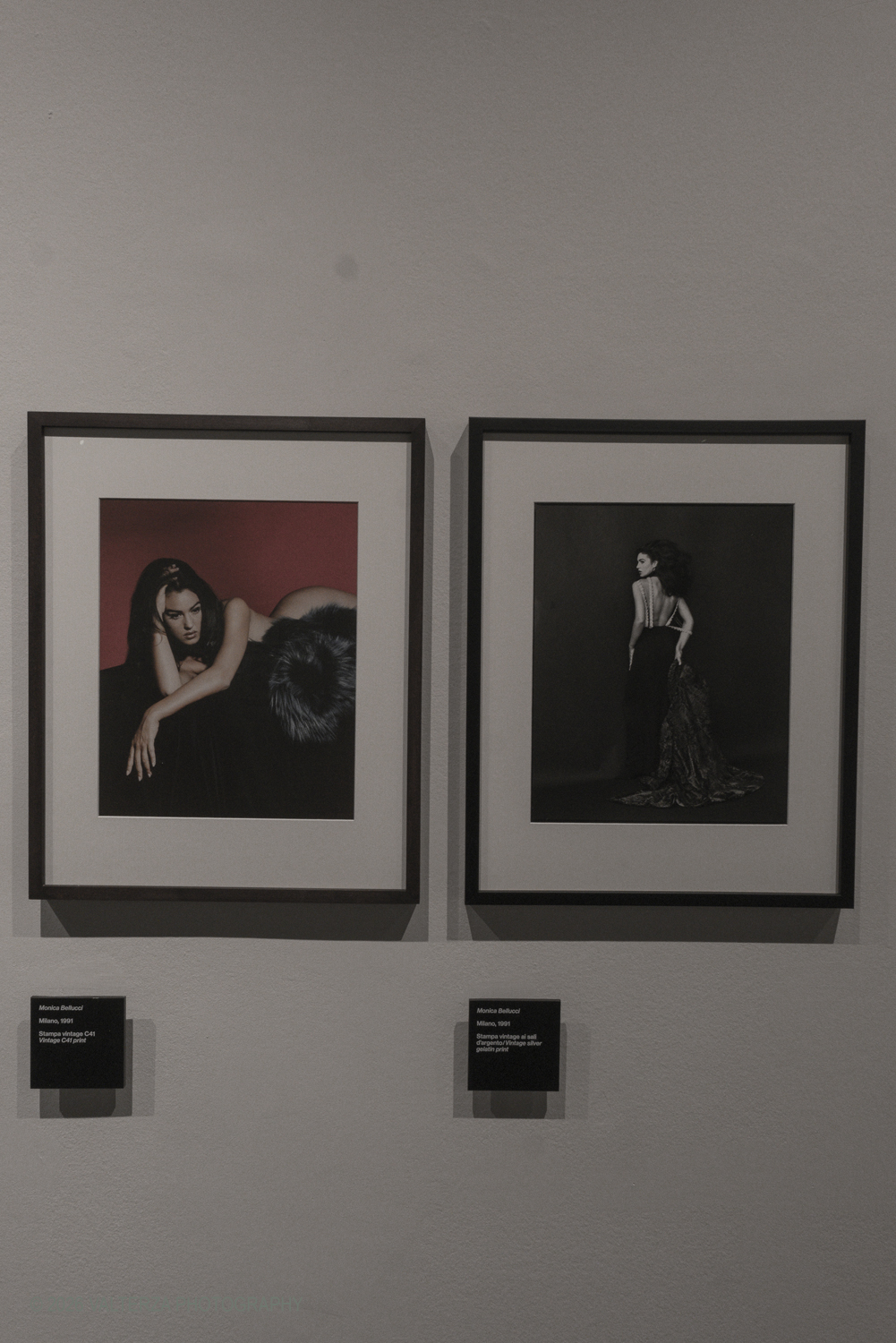 _DSF3001.jpg - 08/05/2026. Torino. Mostra ed incontro con il fotografo Toni Thorimbert, una  ottima opportunitÃ  per entrare nel mondo dellâ€™artista italosvizzero e scoprire come la sua fotografia si sia evoluta tra sperimentazione, introspezione e una sorprendente originalitÃ . Nella foto  Monica Bellucci