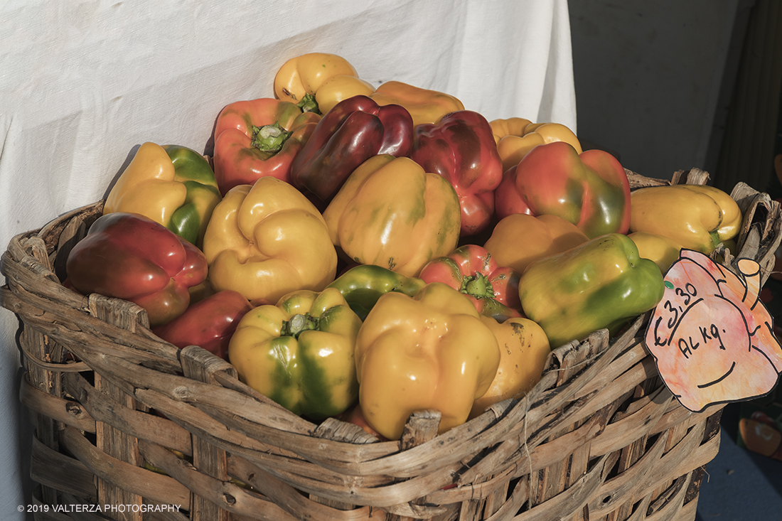 _G3I2924.jpg - 01/09/2019. Carmagnola. TO. Concorso del Peperone  Riservato ai produttori dellâ€™area di coltivazione del Peperone di Carmagnola, si premiano i migliori esemplari i dei quattro ecotipi locali: quadrato, lungo o corno di bue, trottola e tumaticot. Nella foto peperoni in vendita negli stand della fiera.