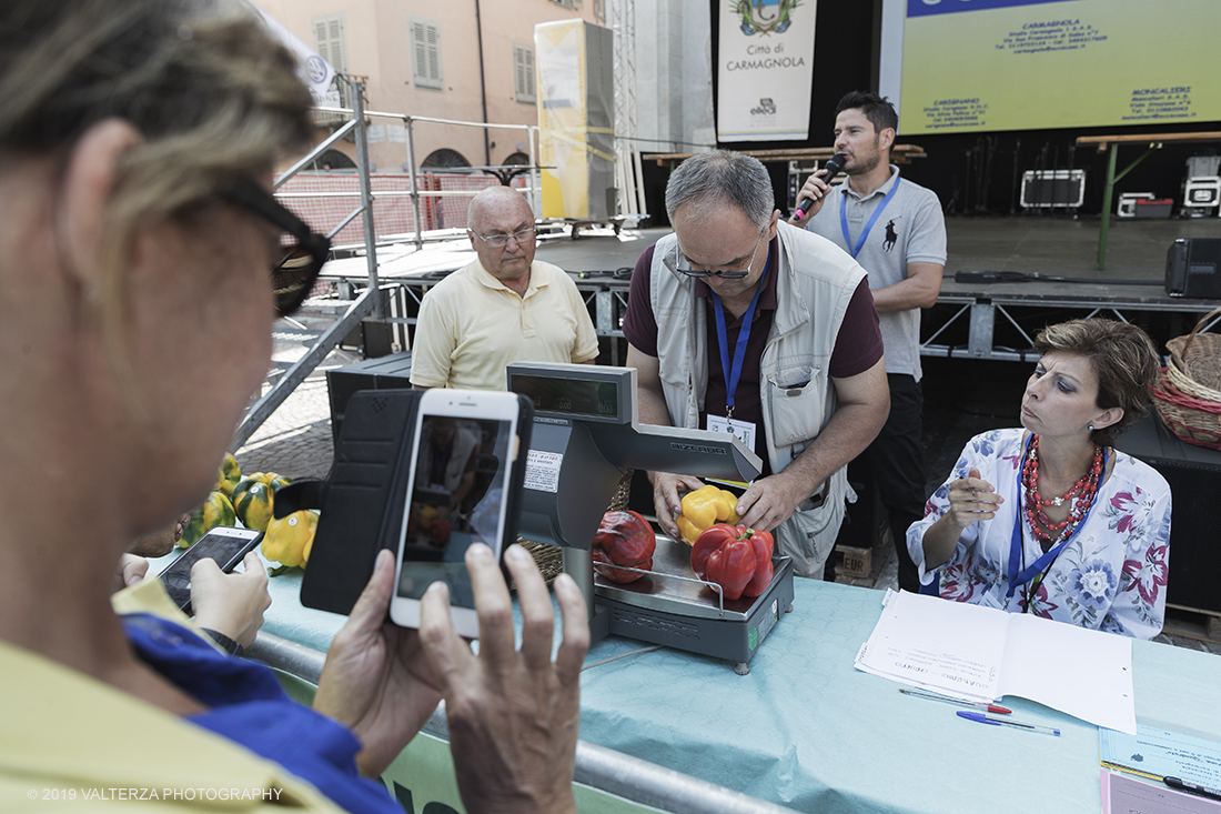 _G3I3182.jpg - 01/09/2019. Carmagnola. TO. Concorso del Peperone  Riservato ai produttori dellâ€™area di coltivazione del Peperone di Carmagnola, si premiano i migliori esemplari i dei quattro ecotipi locali: quadrato, lungo o corno di bue, trottola e tumaticot. Nella foto