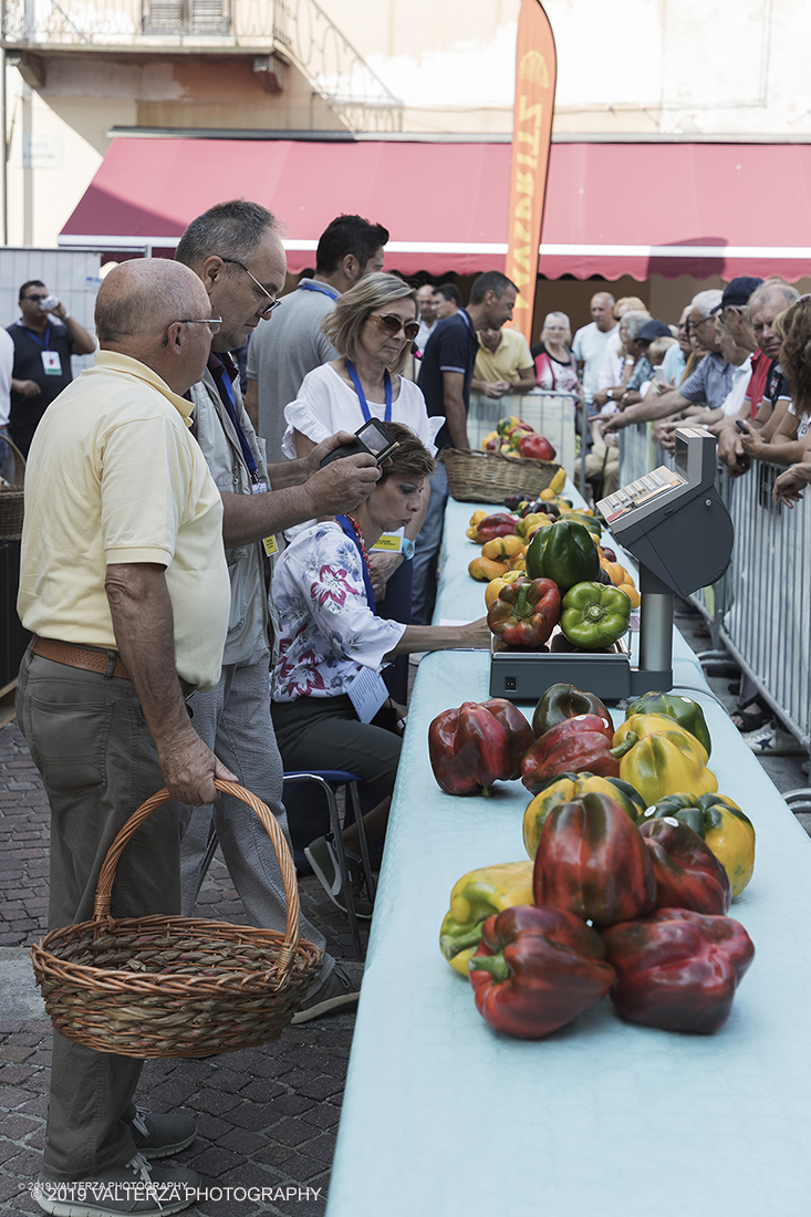 _G3I3249.jpg - 01/09/2019. Carmagnola. TO. Concorso del Peperone  Riservato ai produttori dellâ€™area di coltivazione del Peperone di Carmagnola, si premiano i migliori esemplari i dei quattro ecotipi locali: quadrato, lungo o corno di bue, trottola e tumaticot. Nella foto un momento della pesatura e documentazione fotografica dei peperoni selezionati per il concorso.