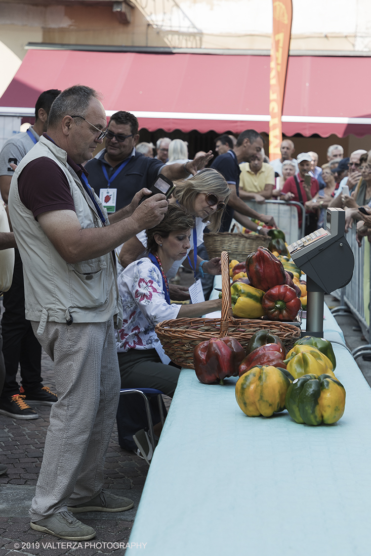 _G3I3264.jpg - 01/09/2019. Carmagnola. TO. Concorso del Peperone  Riservato ai produttori dellâ€™area di coltivazione del Peperone di Carmagnola, si premiano i migliori esemplari i dei quattro ecotipi locali: quadrato, lungo o corno di bue, trottola e tumaticot. Nella foto un momento della pesatura e documentazione fotografica dei peperoni selezionati per il concorso.