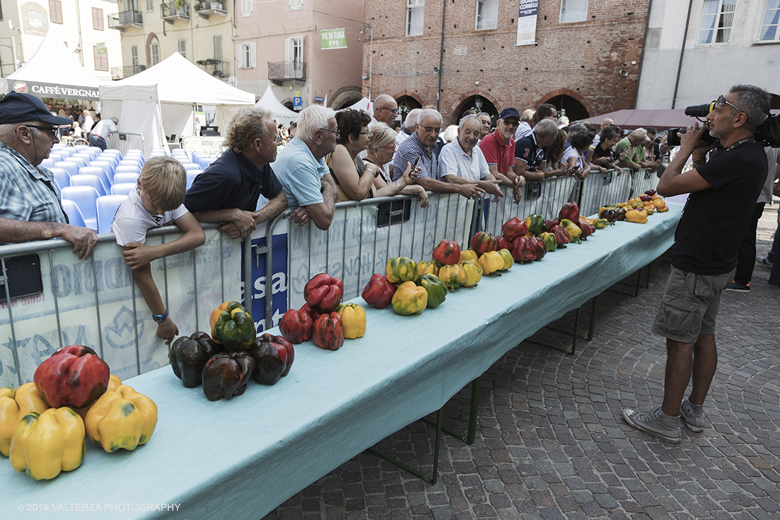 _G3I3279.jpg - 01/09/2019. Carmagnola. TO. Concorso del Peperone  Riservato ai produttori dellâ€™area di coltivazione del Peperone di Carmagnola, si premiano i migliori esemplari i dei quattro ecotipi locali: quadrato, lungo o corno di bue, trottola e tumaticot. Nella foto peproni selezionati per la partecipazione al concorso.