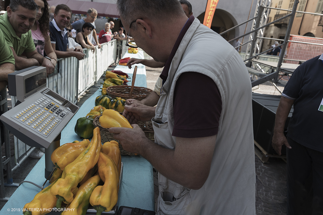 _G3I3323.jpg - 01/09/2019. Carmagnola. TO. Concorso del Peperone  Riservato ai produttori dellâ€™area di coltivazione del Peperone di Carmagnola, si premiano i migliori esemplari i dei quattro ecotipi locali: quadrato, lungo o corno di bue, trottola e tumaticot. Nella foto un momento della pesatura e documentazione fotografica dei peperoni selezionati per il concorso.