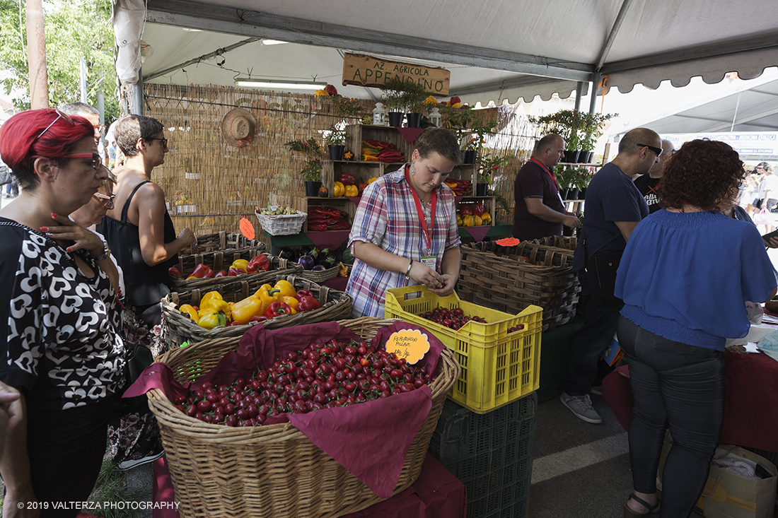 _X9B0470.jpg - 01/09/2019. Carmagnola. TO. Concorso del Peperone  Riservato ai produttori dellâ€™area di coltivazione del Peperone di Carmagnola, si premiano i migliori esemplari i dei quattro ecotipi locali: quadrato, lungo o corno di bue, trottola e tumaticot. Nella foto stand di vendita dei peperoni.