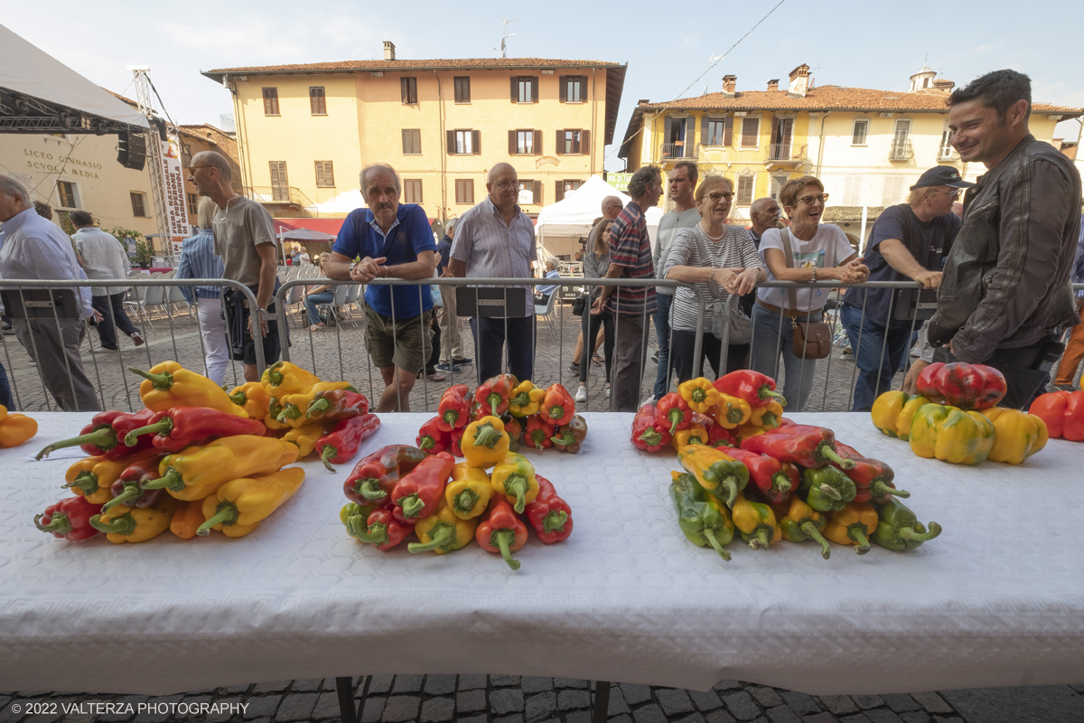 _DSF4497.jpg - 04/09/2022. Carmagnola. Nell'ambito della 73^ edizione della fiera Fiera Ã¨ andato in scena il peperone day 2022 , torna la nuova edizione della Festa di Re Peperone e della Bela Povronera, con sfilata delle maschere. Nella foto in mostra i peperoni selezionati per il tradizionale concorso