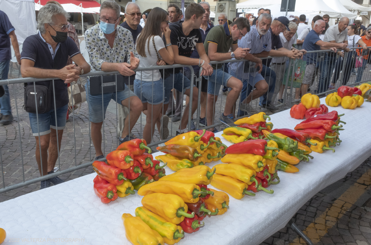 _DSF4568.jpg - 04/09/2022. Carmagnola. Nell'ambito della 73^ edizione della fiera Fiera Ã¨ andato in scena il peperone day 2022 , torna la nuova edizione della Festa di Re Peperone e della Bela Povronera, con sfilata delle maschere. Nella foto in mostra i peperoni selezionati per il tradizionale concorso