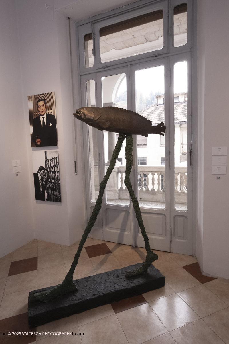 _DSF3990.jpg - 30/10/2025. Torino. Si Ã¨ chiusa nel segno del successo con 26.230 visitatori  la tredicesima edizione di Flashback Art Fair. Nella foto galleria Umberto Benappi Torino