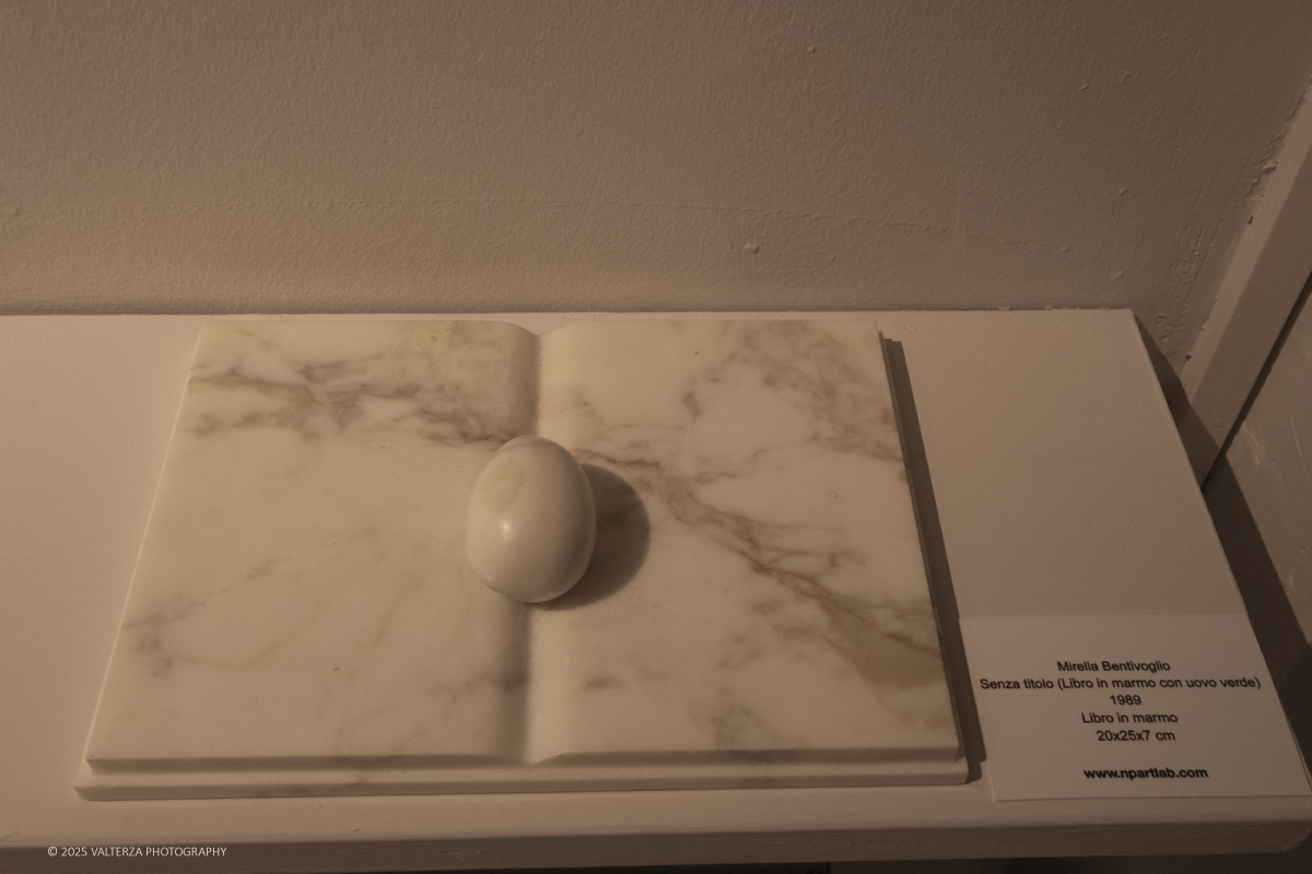 _DSF4034.jpg - 30/10/2025. Torino. Si Ã¨ chiusa nel segno del successo con 26.230 visitatori  la tredicesima edizione di Flashback Art Fair. Nella foto  Galleria Eddart Roma