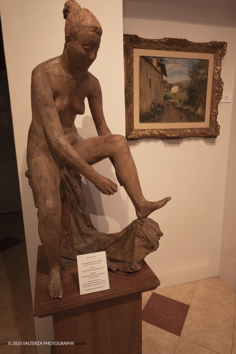 _DSF4101.jpg - 30/10/2025. Torino. Si Ã¨ chiusa nel segno del successo con 26.230 visitatori  la tredicesima edizione di Flashback Art Fair. Nella foto Galleria Arcuti Fine Art Torino