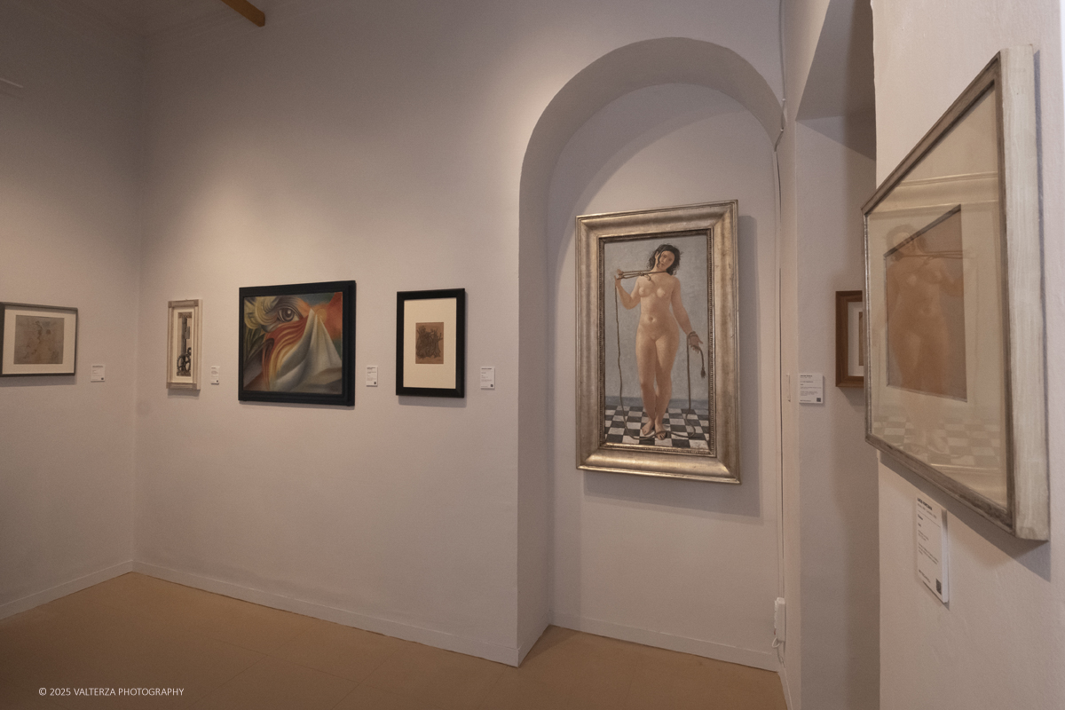 _DSF4201.jpg - 30/10/2025. Torino. Si Ã¨ chiusa nel segno del successo con 26.230 visitatori  la tredicesima edizione di Flashback Art Fair. Nella foto Galleria Botteganica Milano