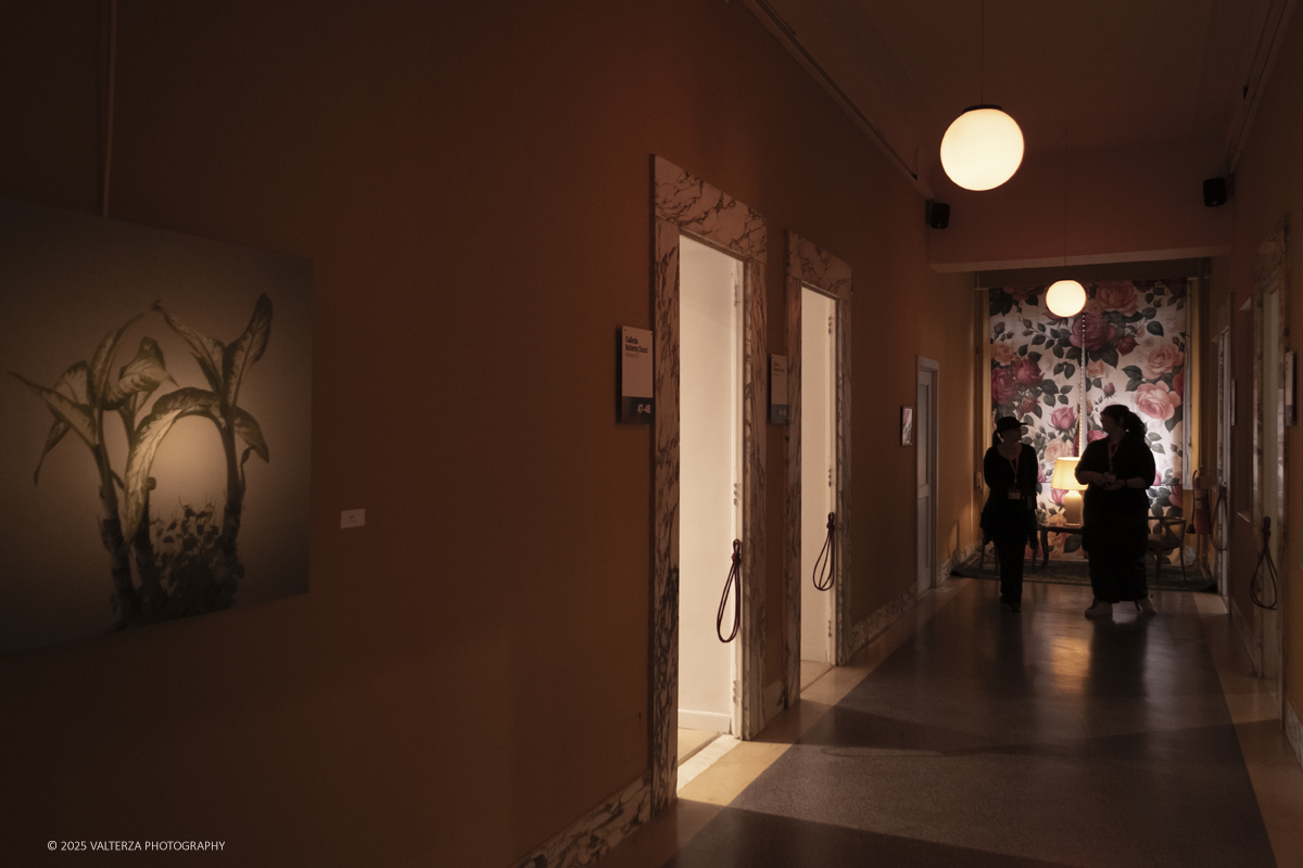 _DSF4274.jpg - 30/10/2025. Torino. Si Ã¨ chiusa nel segno del successo con 26.230 visitatori  la tredicesima edizione di Flashback Art Fair. Nella foto  in visita alla mostra