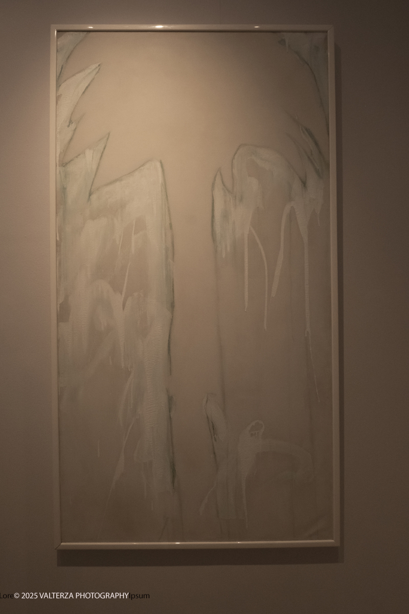 _DSF4292.jpg - 30/10/2025. Torino. Si Ã¨ chiusa nel segno del successo con 26.230 visitatori  la tredicesima edizione di Flashback Art Fair. Nella foto Galleria Brescia Brescia