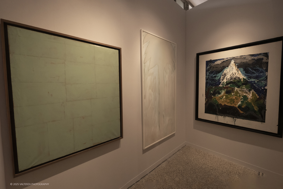 _DSF4295.jpg - 30/10/2025. Torino. Si Ã¨ chiusa nel segno del successo con 26.230 visitatori  la tredicesima edizione di Flashback Art Fair. Nella foto Galleria Brescia Brescia