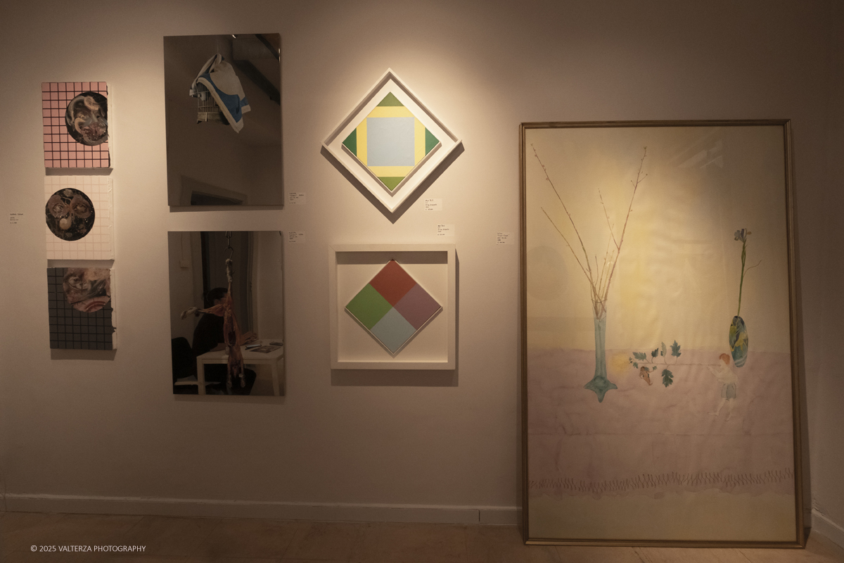 _DSF4299.jpg - 30/10/2025. Torino. Si Ã¨ chiusa nel segno del successo con 26.230 visitatori  la tredicesima edizione di Flashback Art Fair. Nella foto Galleria Brescia Brescia