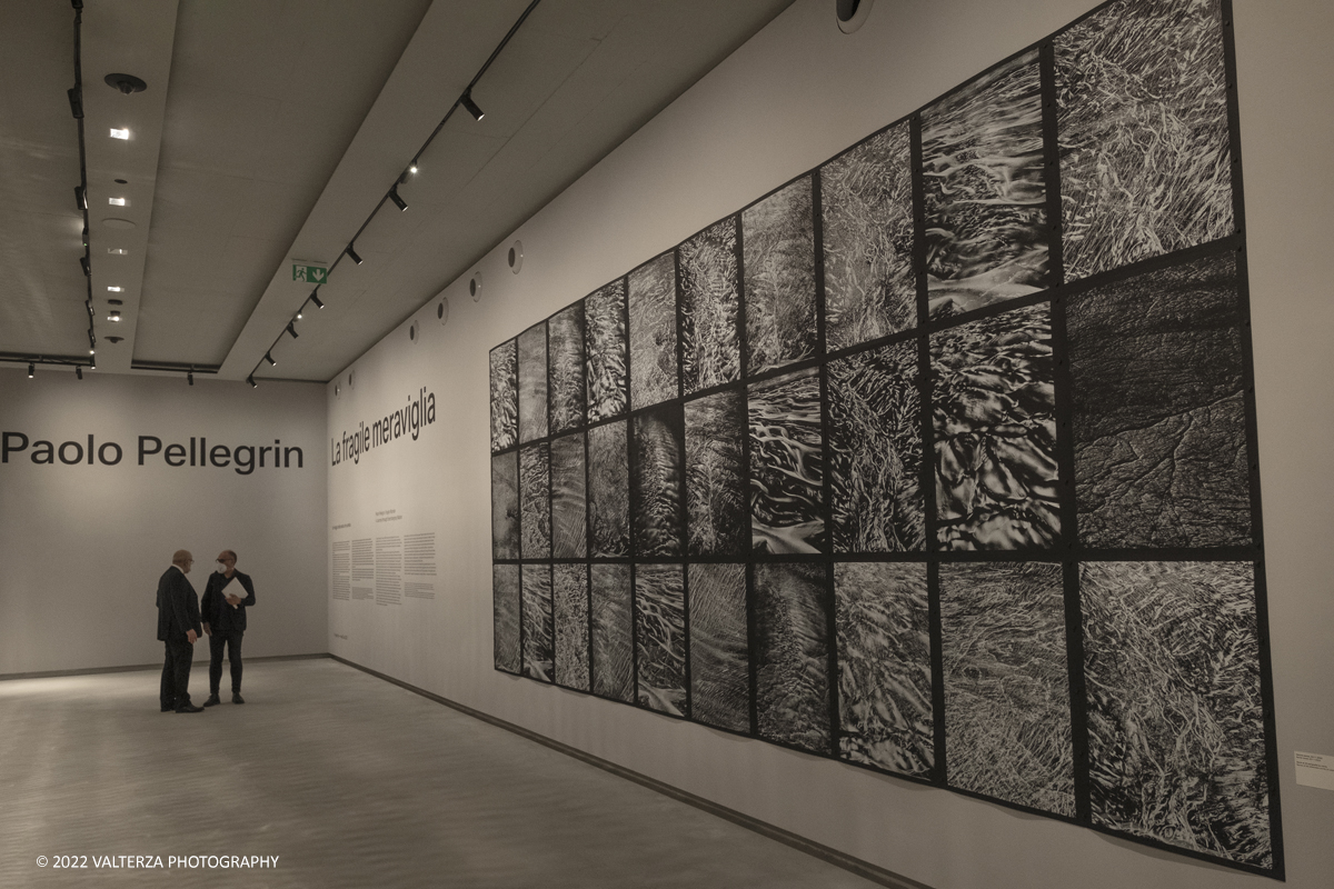 _DSF9938.jpg - 16/05/2022. Torino. Intesa San Paolo ha inaugurato oggi Le "Gallerie d'Italia Torino"quarto museo del gruppo, diecimila mq di percorsoespositivo su cinque piani dedicati alla fotografia ed al Barocco. Nella foto parte dell'allestimento della mostra  mostra La fragile meraviglia. Un viaggio nella natura che cambia del fotografo Paolo Pellegrin