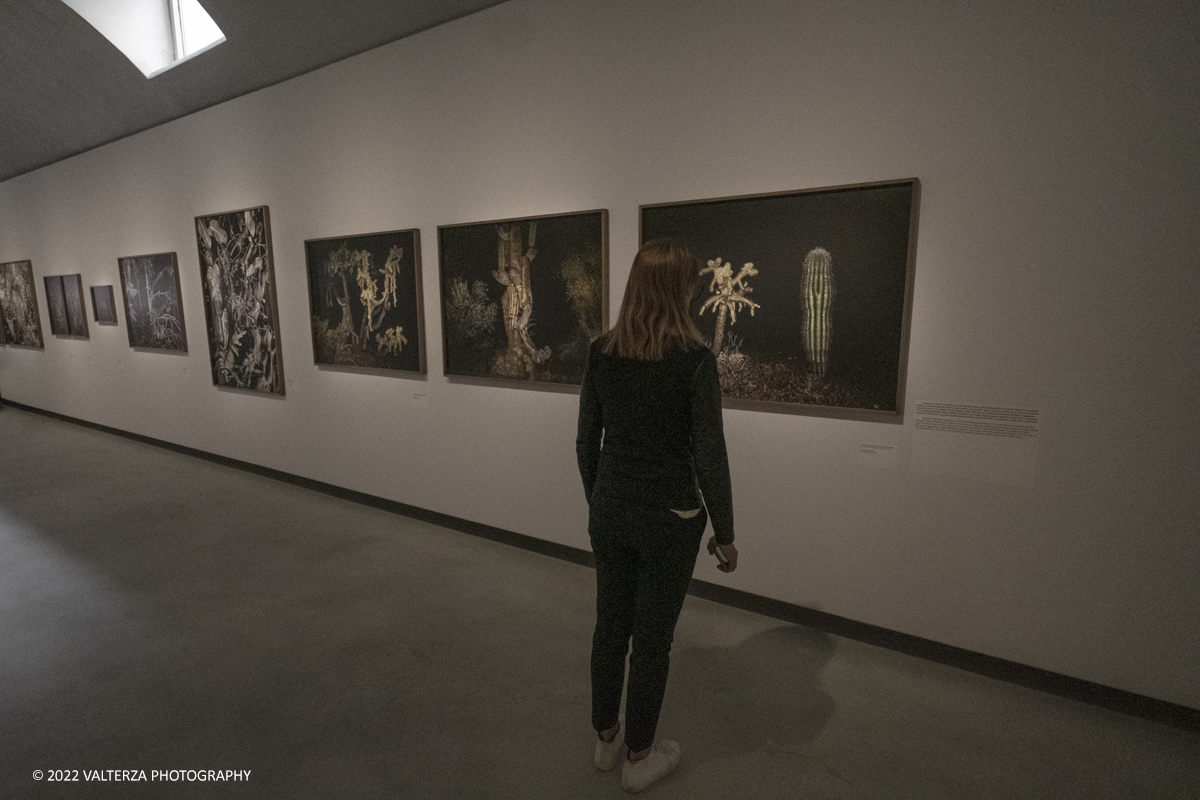 _DSF9960.jpg - 16/05/2022. Torino. Intesa San Paolo ha inaugurato oggi Le "Gallerie d'Italia Torino"quarto museo del gruppo, diecimila mq di percorsoespositivo su cinque piani dedicati alla fotografia ed al Barocco. Nella foto in visita al nuovo Museo