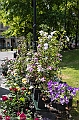 _DSF6939