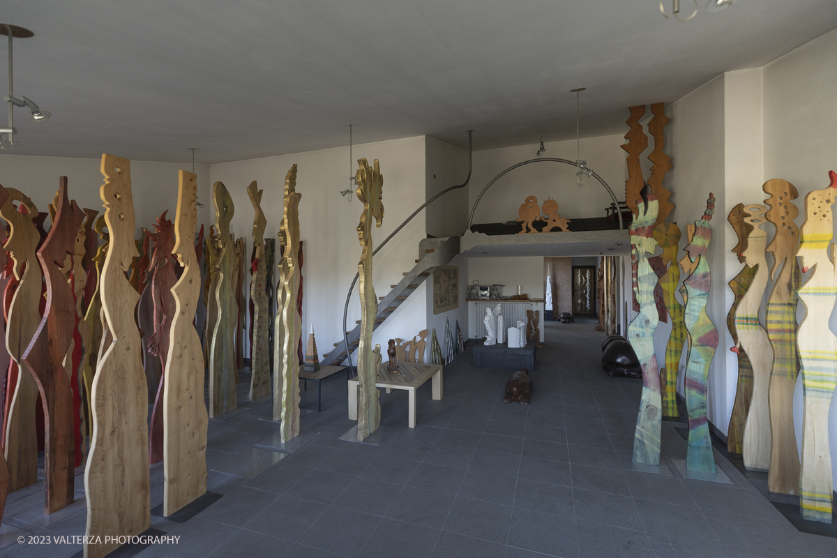 _G5A5351.jpg - Giovanni Borgarello Artist. Wooden and marble culptures, indoor exhibition at the John Borgarelloâ€™s  country  estate. Giovanni Borgarello Born in Cambiano - Turin Italy in 1950, he graduated from the Liceo Artistico and Accademia Albertina di Belle Arti in Turin. He lives in his museum studio via De Gasperi, 37 - 10020 Cambiano (To) among the majestic monuments and marbles of Carrara and the scent of exotic woods transformed into unique and original artistic objects .He was a student of Sandro Cherchi.