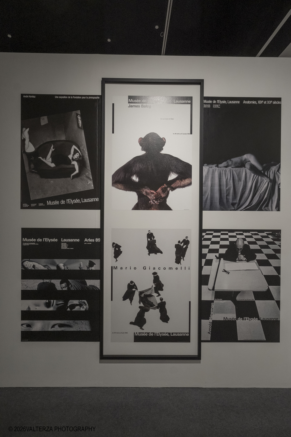 _DSF6985.jpg - 17/06/2026.Torino. La stagione estiva di CAMERA si apre con due mostre originali curate dal nuovo direttore artistico F. Hebel. Qui la mostra dedicata al celebre grafico svizzero  ð�—ªð�—²ð�—¿ð�—»ð�—²ð�—¿ ð�—�ð�—²ð�—¸ð�—²ð�—¿. Nella foto parte dell'allestimento con i manifesti di ð�—ªð�—²ð�—¿ð�—»ð�—²ð�—¿ ð�—�ð�—²ð�—¸ð�—²ð�—¿