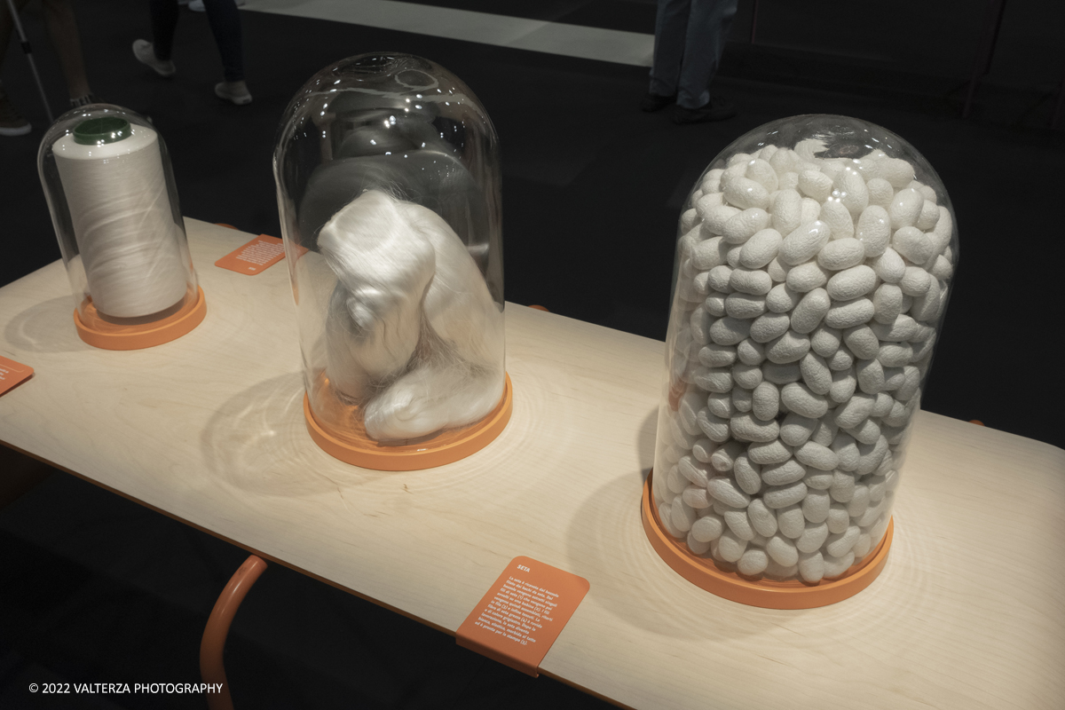 _DSF1215.jpg - 22/05/2022. Torino. Undici artigiani appartenenti a dieci mÃ©tier della maison HermÃ¨s sono arrivati alle Ogr con le loro borse degli attrezzi ed i loro materiali per mostrare i loro savoir-faire. Nella foto matrie prime bozzoli e semilavorati per la produzione della seta