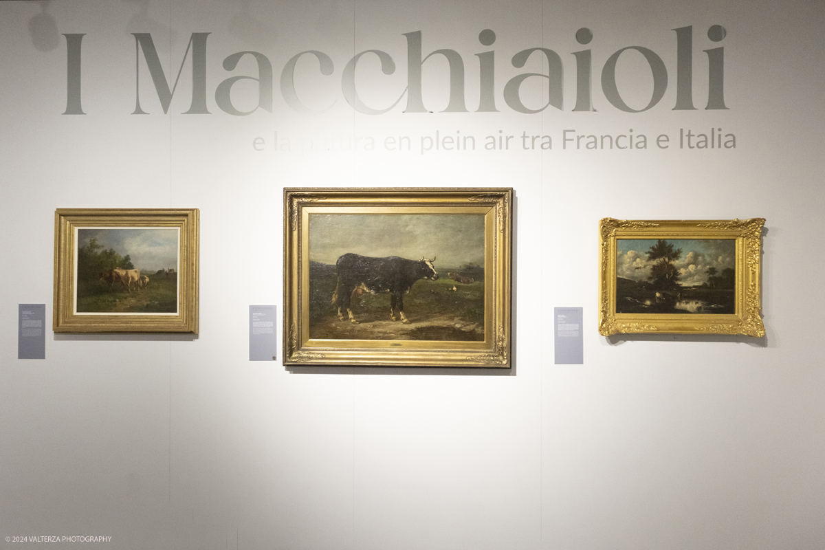_DSF4207.jpg - 02/02/2024. Torino. I Macchiaioli e la pittura en plein air tra Francia e Italia, al Mastio della Cittadella fino al 1Â° aprile 2024 la mostra con 90 dipinti di 30 artisti. Nella foto allestimento nella prma sala della mostra