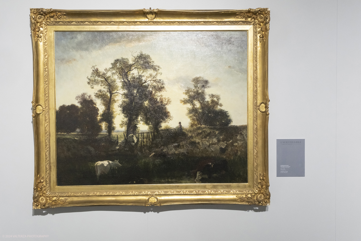 _DSF4386.jpg - 02/02/2024. Torino. I Macchiaioli e la pittura en plein air tra Francia e Italia, al Mastio della Cittadella fino al 1Â° aprile 2024 la mostra con 90 dipinti di 30 artisti. Nella foto Giuseppee Palizzi, Paesaggi con armenti