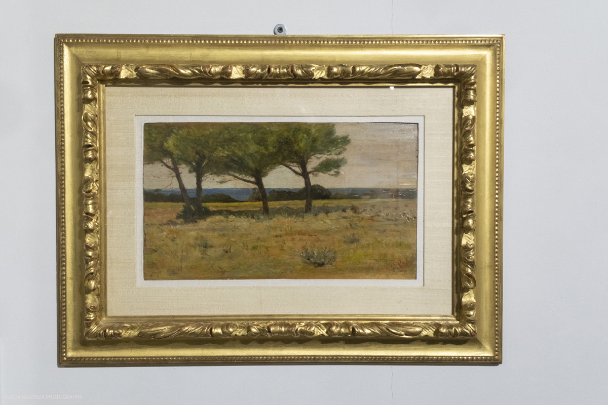 _DSF4439.jpg - 02/02/2024. Torino. I Macchiaioli e la pittura en plein air tra Francia e Italia, al Mastio della Cittadella fino al 1Â° aprile 2024 la mostra con 90 dipinti di 30 artisti. Nella foto Giovanni Fattori, I tre pini