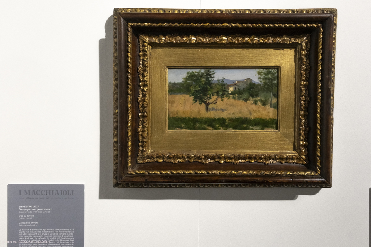 _DSF4535.jpg - 02/02/2024. Torino. I Macchiaioli e la pittura en plein air tra Francia e Italia, al Mastio della Cittadella fino al 1Â° aprile 2024 la mostra con 90 dipinti di 30 artisti. Nella foto Silvestro Lega, Campagna con il grano maturo