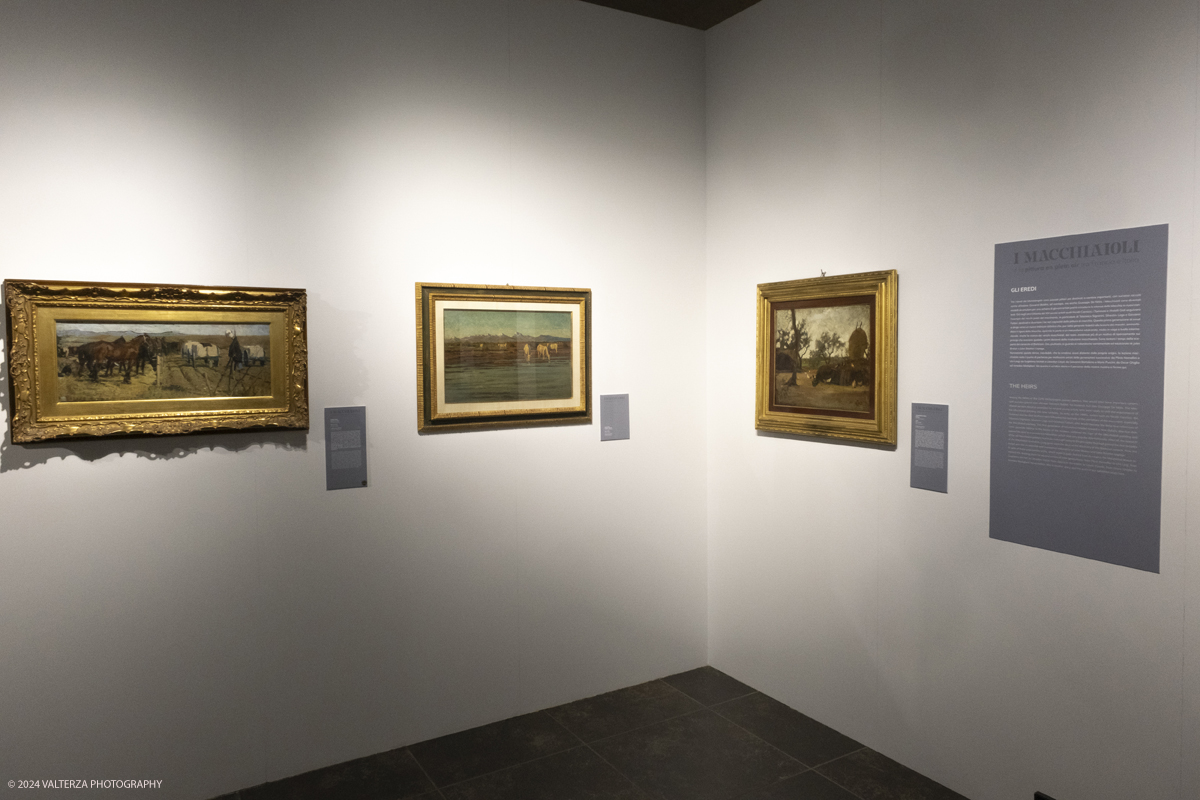 _DSF4706.jpg - 02/02/2024. Torino. I Macchiaioli e la pittura en plein air tra Francia e Italia, al Mastio della Cittadella fino al 1Â° aprile 2024 la mostra con 90 dipinti di 30 artisti. Nella foto parte dell'allestimento della mostra