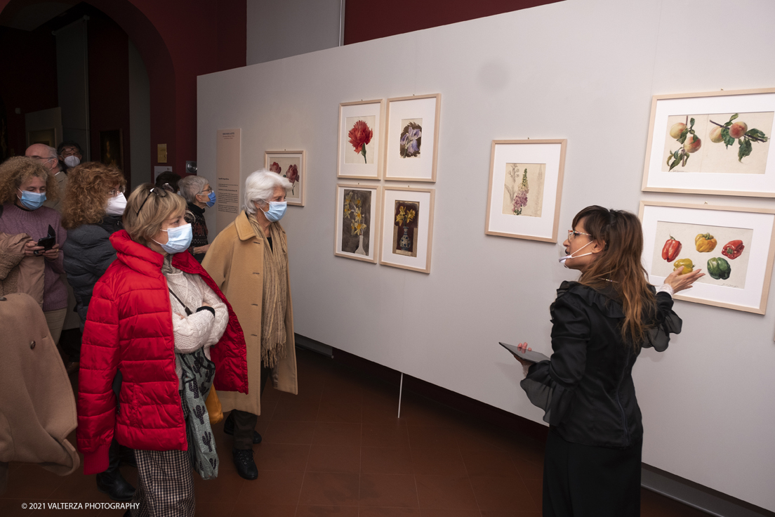 _DSF0866.jpg - 18712/2021. Torino. Visita Guidata dalla Dott.ssa Barbara Stabiella alla Accademia Albertina, tema " I grandi Maestri dell'accademia."