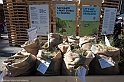 DSCF7752
