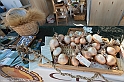 DSCF7781