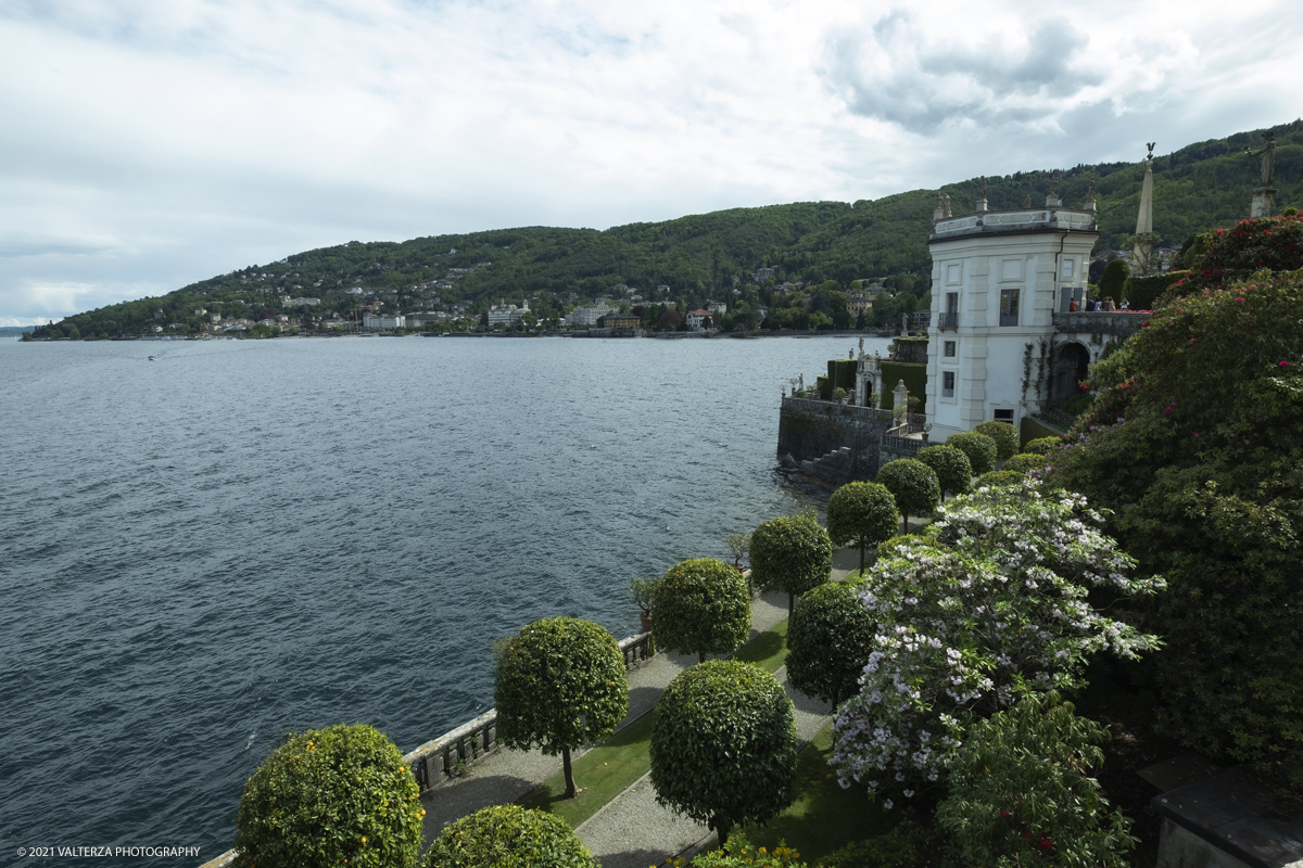 _DSF4019.jpg - 02/05/2021. Stresa. Dal weekend appena trascorso i visitatori possono ammirare le fioriture dei giardini e riscoprire i tesori storici e artistici nel palazzo Borromeo dell'Isola Bella. Nella foto veduta sul lago dalla zona alta dei giardini.