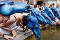 29625_VenariaParatadiMarcoCavallo