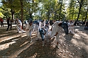 DSCF7930