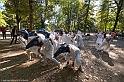 DSCF7940