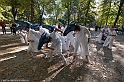 DSCF7942
