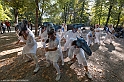 DSCF7954