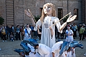 DSCF8154