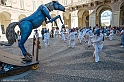 DSCF8499