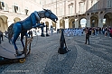 DSCF8511