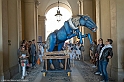 DSCF8594