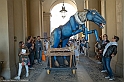 DSCF8598
