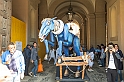 DSCF8636
