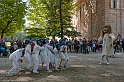 _DSF7784