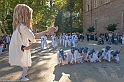 _DSF7983